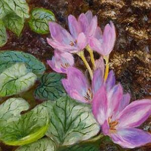 Garden Delight   |   Oil 11 x 8